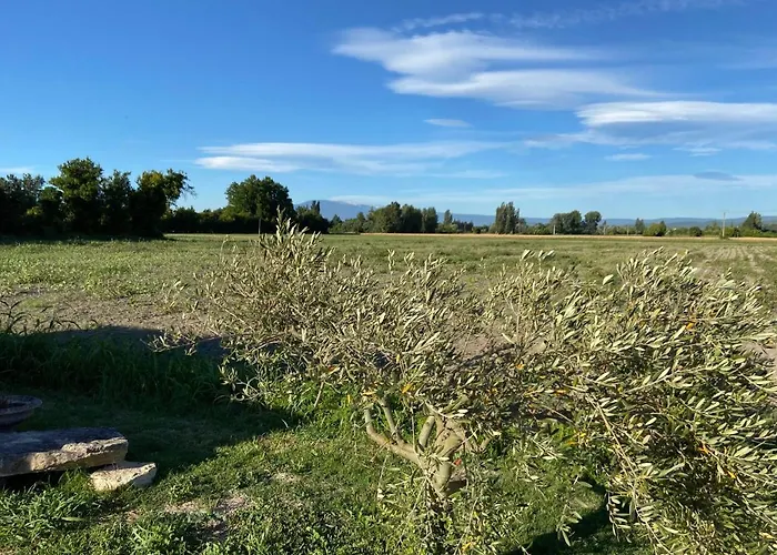 Location Gite Campagne En Provence - Vaucluse